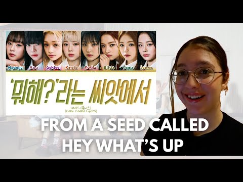 UNIS From a seed called ‘Hey, what’s up?’ REACTION