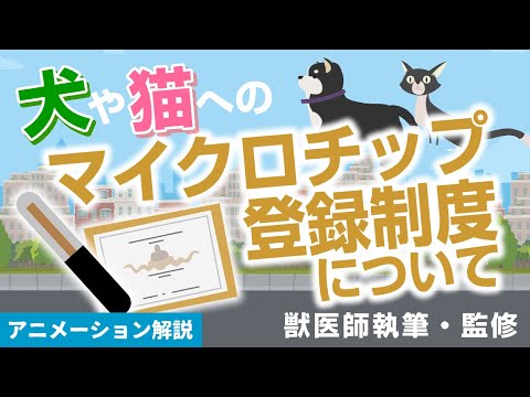 ペットの衛生管理10の基本：家族の健康を守る習慣術