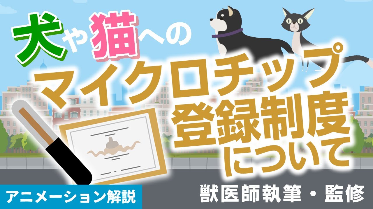 犬と猫のマイクロチップ登録制度について【環境省HP引用】獣医師執筆監修