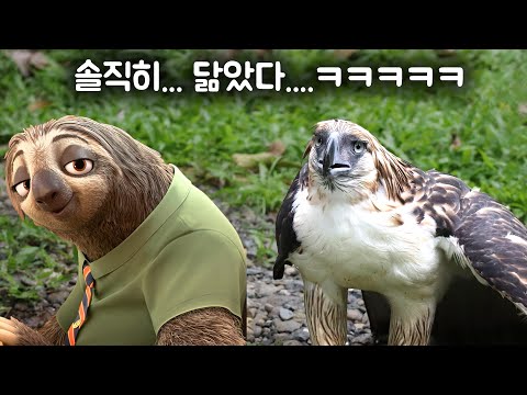 멸종 직전의 필리핀독수리 보호센터 구경하기