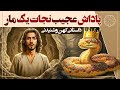 زیباترین داستان های قدیمی ایرانی داستان پاداش عجیب نجات یک مار