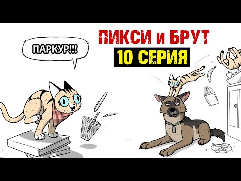 Пикси и Брут "ПАРКУР ПИКСИ". Трогательная история дружбы военного Пса и Котенка! Комиксы от ХаХмачо