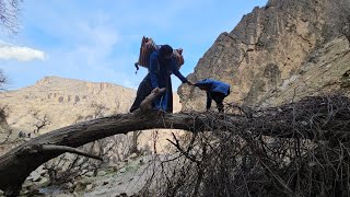 "Mother and Child Adventure: Trip to the River for Fishing"🦈🐬۹ مارس ۲۰۲۴