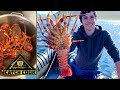 Catching crayfish with a ring net (west coast rock lobster) catch cook