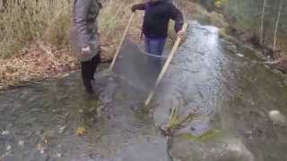Kick and Sweep Video