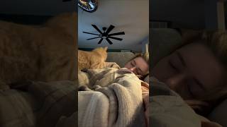 The Strange Reason Cats Stare at People While They Sleep