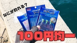 メバリングで「100均ダイソーワーム」を使ったら全く想定外の魚が…。