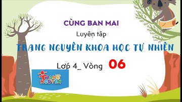 Cùng Maika luyện tập trạng nguyên Khoa học tự nhiên lớp 4, Vòng 6