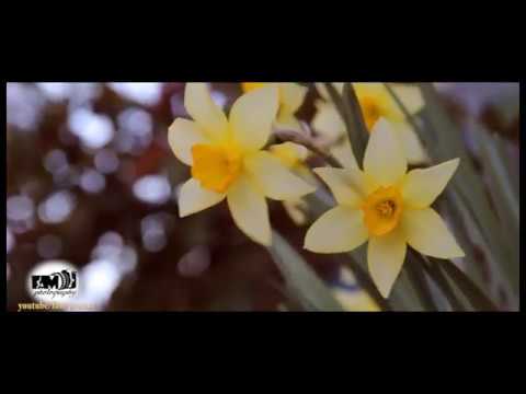 Tebieti Qoruyaq  Tebiet HD menzere HD 2017  nature HD 2017