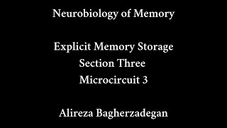 Lecture 15: Explicit Memory Storage, Microcircuits ( III ) Profile