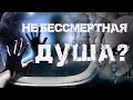 Не бессмертная Душа ?