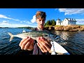 DEEP SEA Fishing the Ocean for SHARK (puked my brains out!)