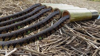 Easy Snake Trap Using Bamboo Nets - Simple Diy Creative Snake Trap That Work 100%