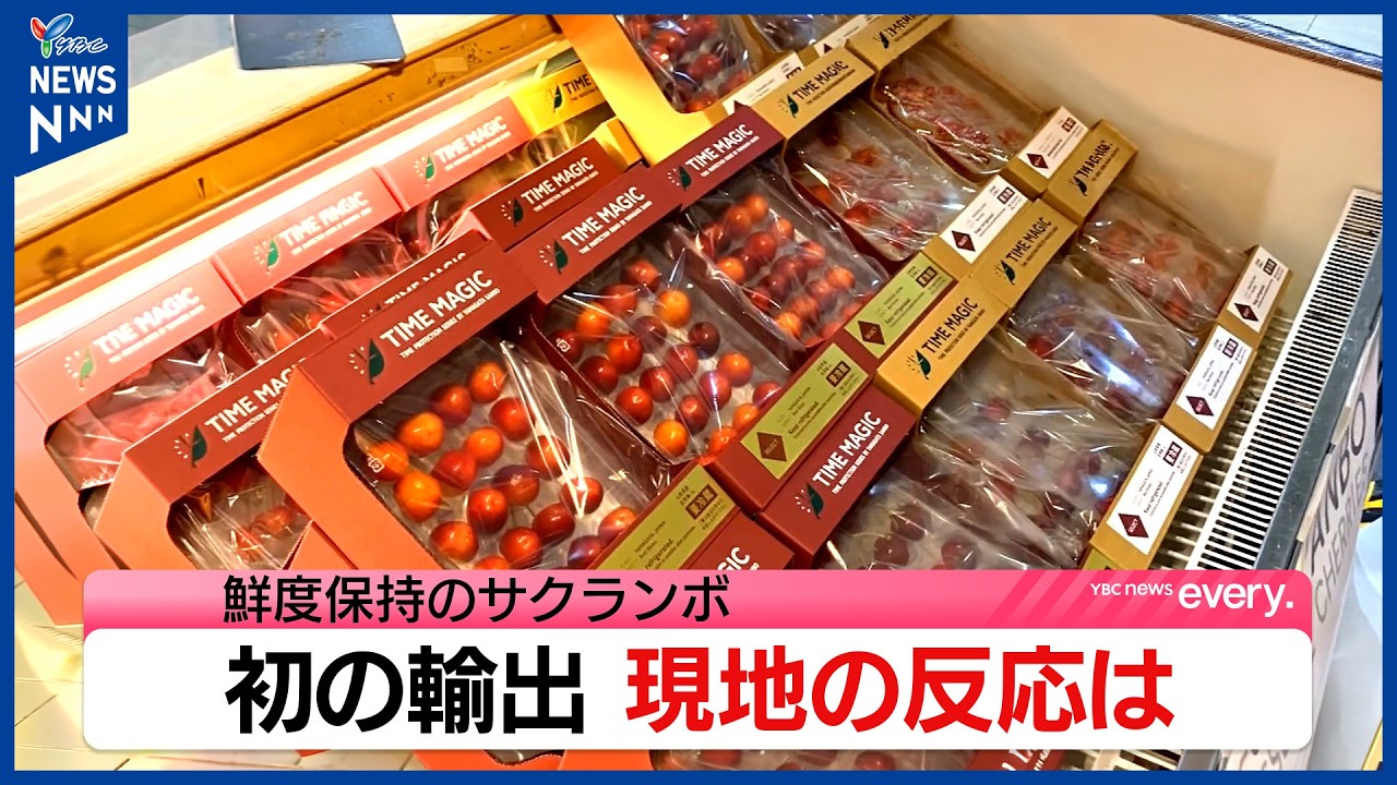 Exporting Yamagata Cherries Abroad Using Freshness-Preserving