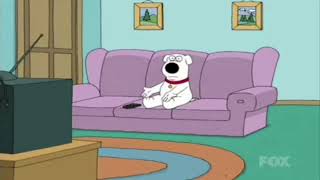 Family Guy - Brian Tired Widescreen
