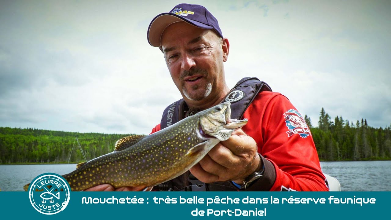 Mouchetée très belle pêche dans la réserve faunique de Port Daniel