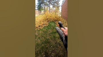 Best leaf blower u can buy! Satisfying 😊