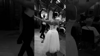 The Blue Danube Waltz #strauss #beautifulwaltz #elegant #bluedanube #austria #vienna #unforgettable