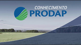 MANEJO NUTRICIONAL DE BOVINOS: COMO CRIAR UMA LOGÍSTICA DE DISTRIBUIÇÃO? screenshot 5