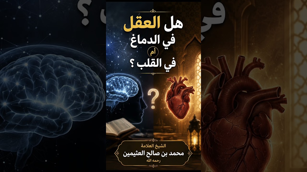 هل العقل في الدماغ أم في القلب ؟ الشيخ العلامة محمد بن صالح العثيمين رحمه الله .