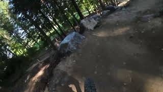 Techline Bikepark Pfäffikon