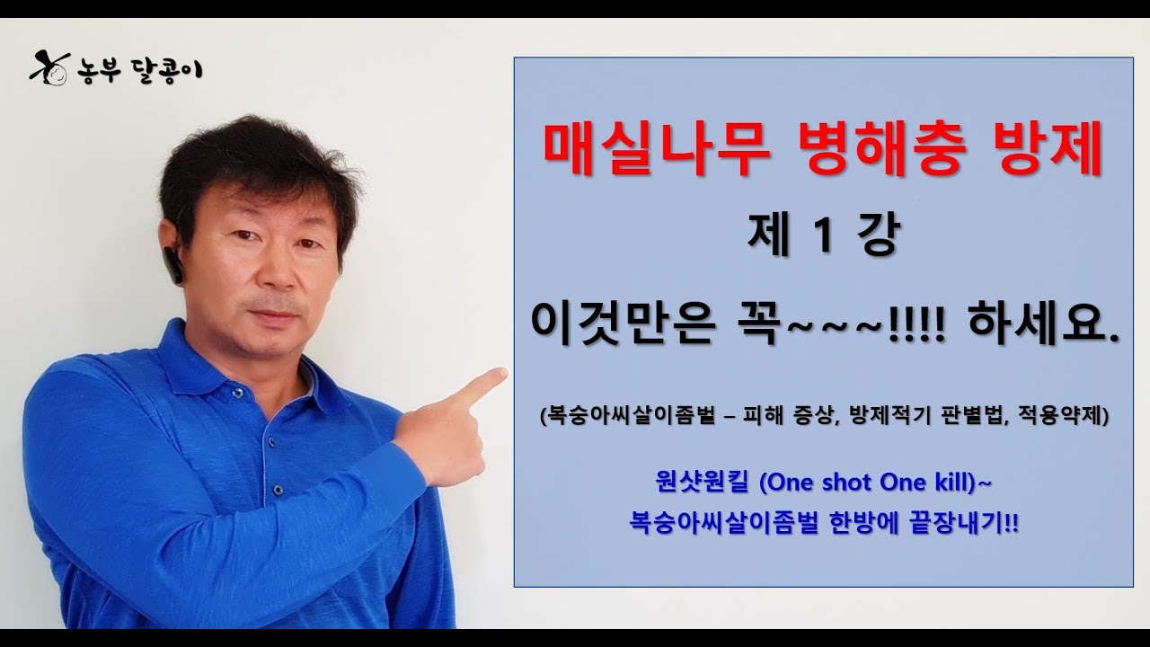 매실 병해충 방제 - 제1강 이것만은 꼭~~~!!  하세요!