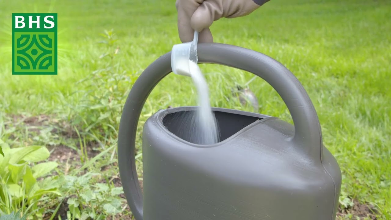 FABRE GRAINES - ENGRAIS TOMATES SOLUBLE