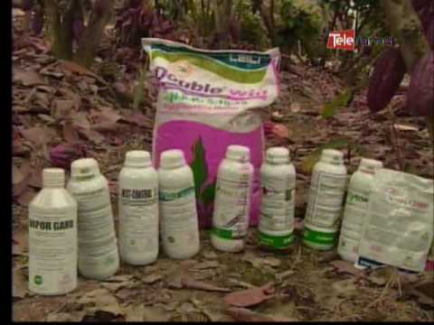 Ecuador Agropecuario 03-10-2016