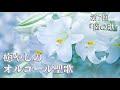 癒やしのオルゴール聖歌～心安らぐ清らかな音色～ 第7回「園の歌」（Holy Songs Music Box Collection -Song of the Garden）