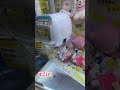 ゲーセンでコレサワのぬいぐるみ取れなくて困ってたお姉さんがいたので僕が取ってプレゼントして見た! #ゲームセンター #ゲーセン #攻略 #コレサワ #ぬいぐるみ #プレゼント