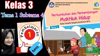 Penjelasan Buku Siswa Kelas 3 Tema 1 Subtema 4 Pembelajaran 1
