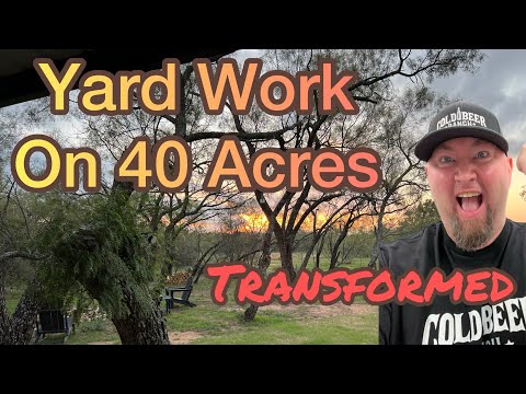 Underbrush Clearing On 40 Acres - Transformation