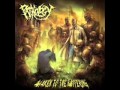 Pathology - Dissected by Righteousness