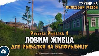 В ожидании 43-го уровня. Турнир на Вьюнке. Русская Рыбалка 4 [Стрим]