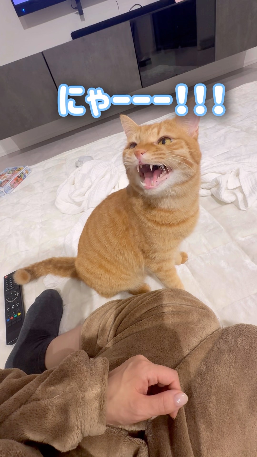 とらまるさま専用♡ とらまるさま専用♡