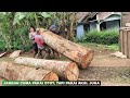 the process of loading large logs manually #loadingbigwood