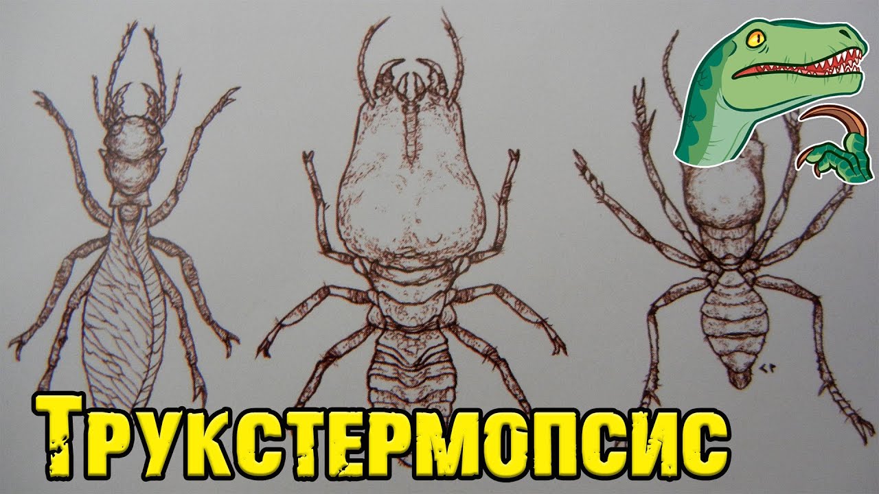 Остров Черепа Питера Джексона||Трукстермопсис (Truxtermopsis difficilis)