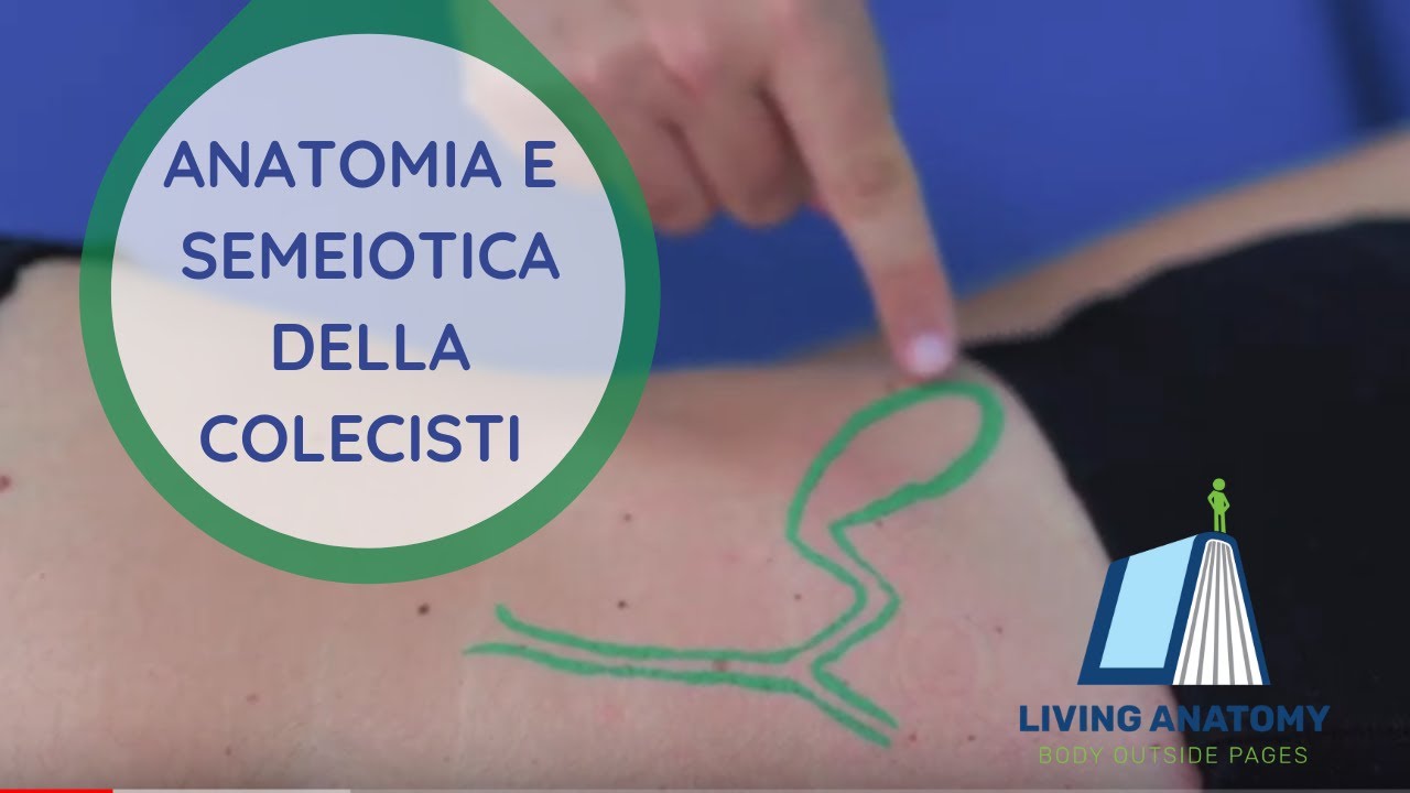COLECISTI - SEMEIOTICA E ANATOMIA PALPATORIA
