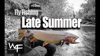 W4F - Fly Fishing Late Summer \\