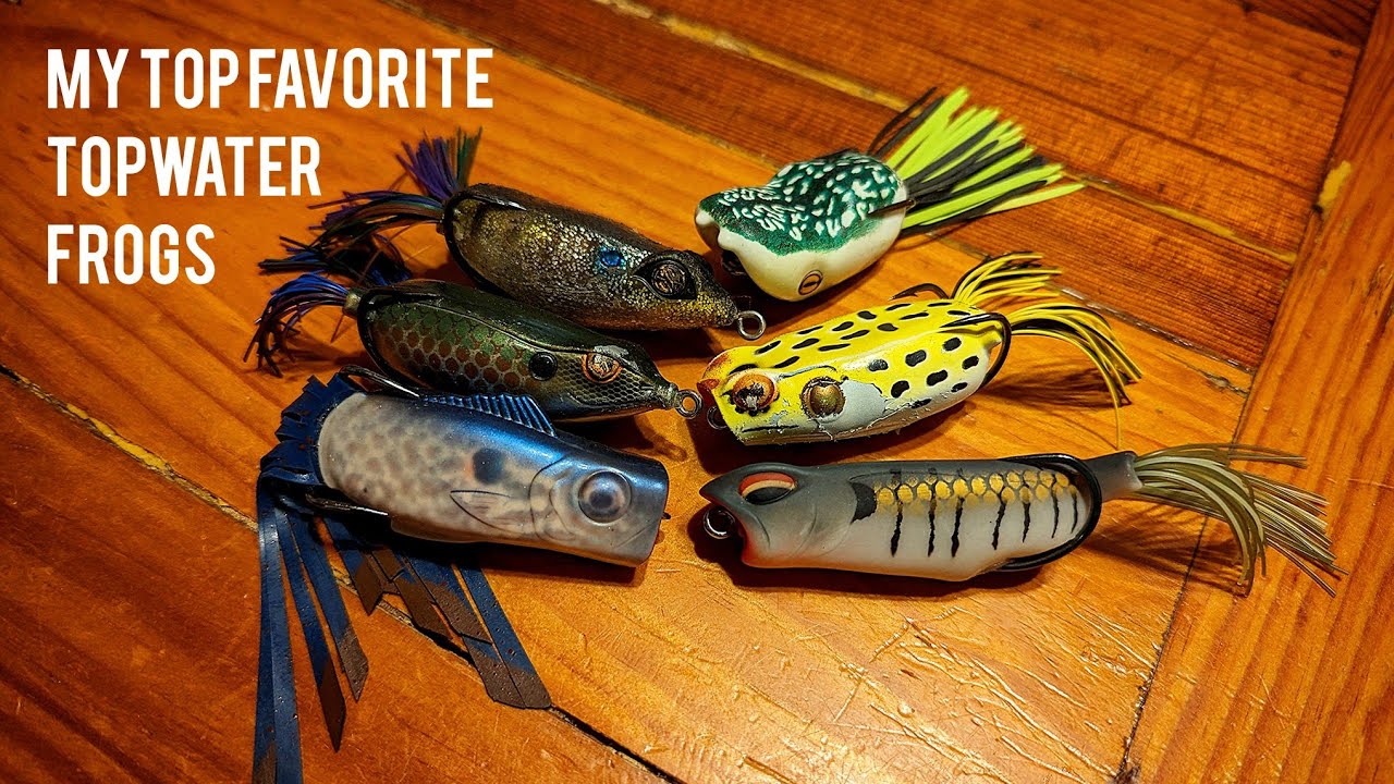 Top Favorite Topwater Frogs for Bass Fishing! My Review Bass