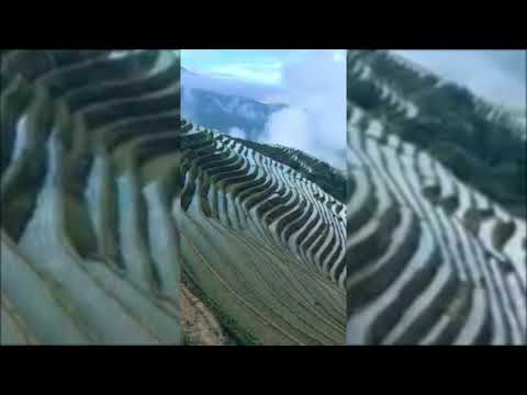 Video Thumbnail - Hill-star-holidays-Travel-agents-Barasat-kolkata-West-bengal