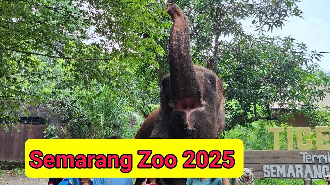 Semarang Zoo Desember 2025