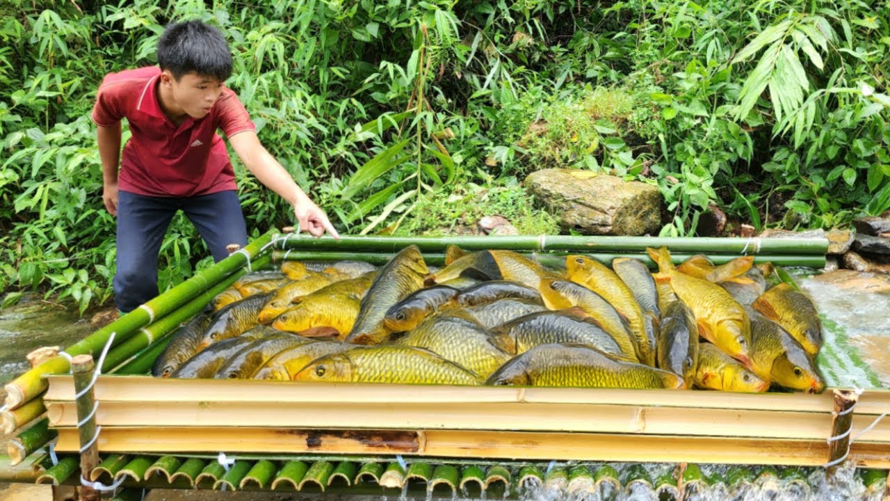 The boy caught fish using the ancient method of trapping fish. Luckily, he caught a big haul of fish
