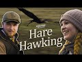 Hare hawking  introduction to falconry  field sweeping slips aerial pursuits training and more