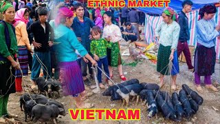 Visited Bac Ha Tribal Market in Vietnam. Bac Ha Sunday Market