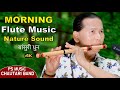 Flute Music | Morning Flute Music | Relaxing Flute | Bansurisong | Basuridhun | Instrumentalmusic 4K