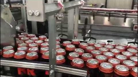 Multipack Line Dimac Gold Star F and Blue Star T case packers by Robopac USA