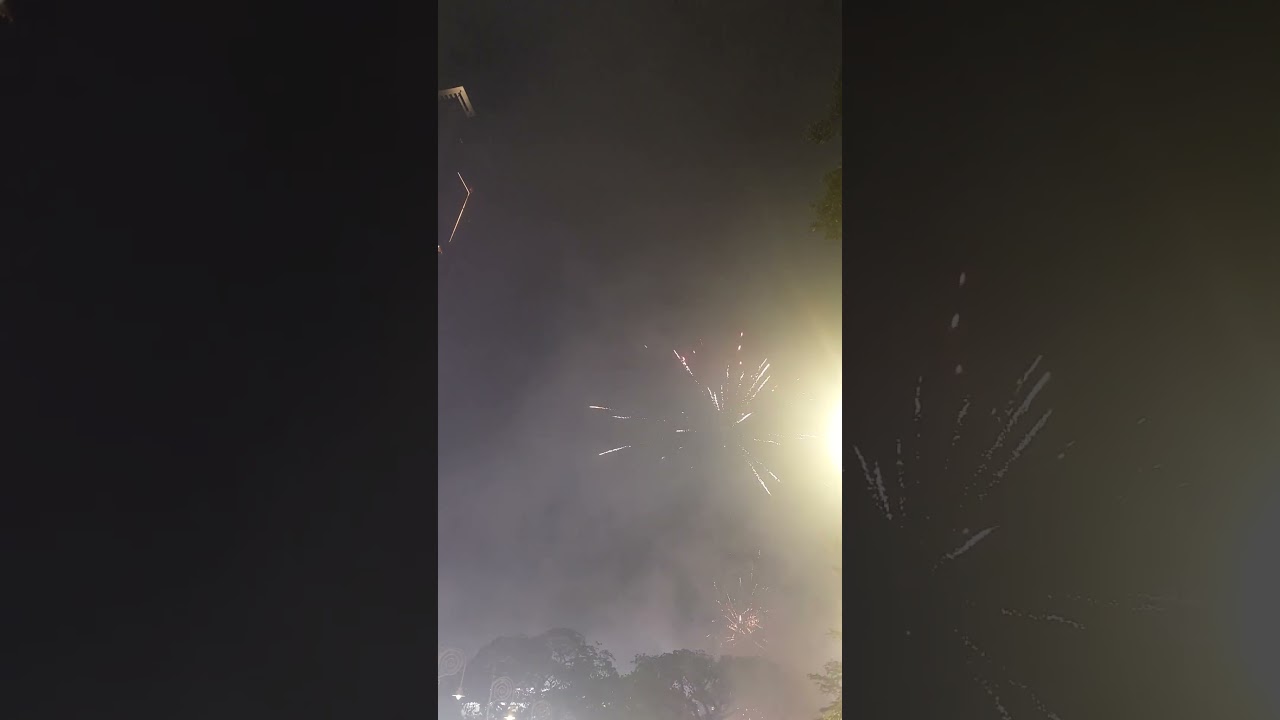 Diwali in Malaysia #diwali #diwali2025