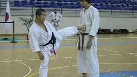 Kagawa-sensei demonstrating maegeri and Yokogeri K...