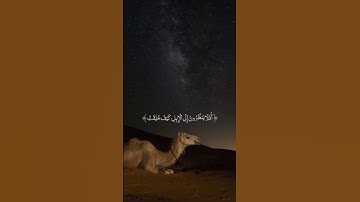 خالد جليل— سورة الغاشيه